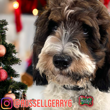 Load image into Gallery viewer, Poppin Premium - Christmas Classic