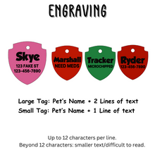 Load image into Gallery viewer, Poppin Premium - Skye - Paw Patrol Tag (Engraving Included)