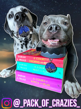 Load image into Gallery viewer, Poppin Premium - ACOTAR