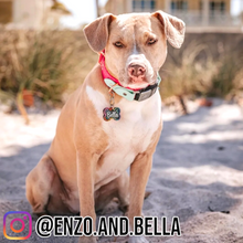 Load image into Gallery viewer, Poppin Premium - Rainbow Leopard