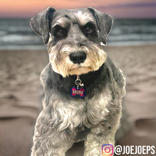 Load image into Gallery viewer, Royal Blue Tag with Candy Red Fill