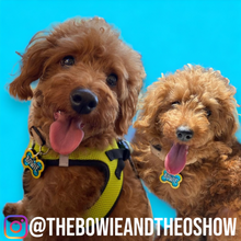 Load image into Gallery viewer, Poppin Premium - The Bentley Design