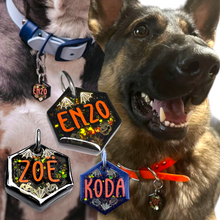 Load image into Gallery viewer, Poppin Premium - Halloween - Spider's Web