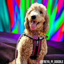 Load image into Gallery viewer, Light Pink Tag with Candy Magenta Fill