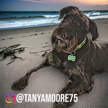 Load image into Gallery viewer, Lime Bone Tag