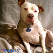 Load image into Gallery viewer, Blue Tag with Royal Blue Fill