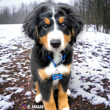 Load image into Gallery viewer, Blue Bone Tag