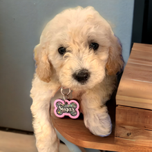 Load image into Gallery viewer, Light Pink Tag with Diamond Fill