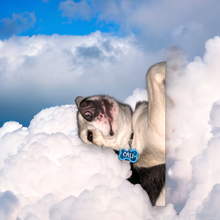 Load image into Gallery viewer, Light Blue Tag with Mermaid Blue Fill