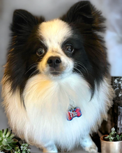 Load image into Gallery viewer, Royal Blue Tag with Candy Red Fill