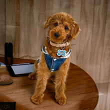 Load image into Gallery viewer, White Tag with Mermaid Blue Fill