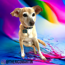 Load image into Gallery viewer, Sea Green Bone Tag