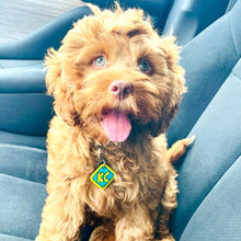 Load image into Gallery viewer, Poppin Premium - Spooky Doo Tag (Engraving Included)