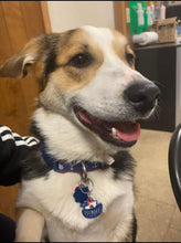 Load image into Gallery viewer, Poppin Premium - Tugboat Tag