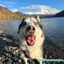 Load image into Gallery viewer, Poppin Premium - Everest - Paw Patrol Tag (Engraving Included)
