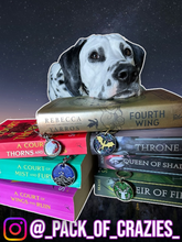 Load image into Gallery viewer, Poppin Premium - Throne of Glass

