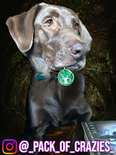 Load image into Gallery viewer, Poppin Premium - Throne of Glass
