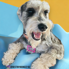 Load image into Gallery viewer, Pink Bone Tag
