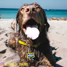 Load image into Gallery viewer, Yellow Tag with Royal Blue Fill
