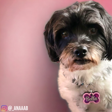 Load image into Gallery viewer, Light Pink Tag with Candy Magenta Fill
