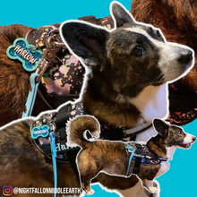 Load image into Gallery viewer, Light Blue Bone Tag
