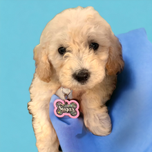 Load image into Gallery viewer, Light Pink Bone Tag
