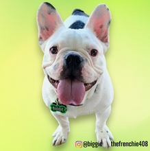 Load image into Gallery viewer, Lime Tag with Emerald Fill
