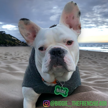 Load image into Gallery viewer, Lime Tag with Emerald Fill
