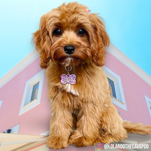 Load image into Gallery viewer, Light Pink Bone Tag

