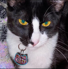 Load image into Gallery viewer, DIY - Cat Head Tag
